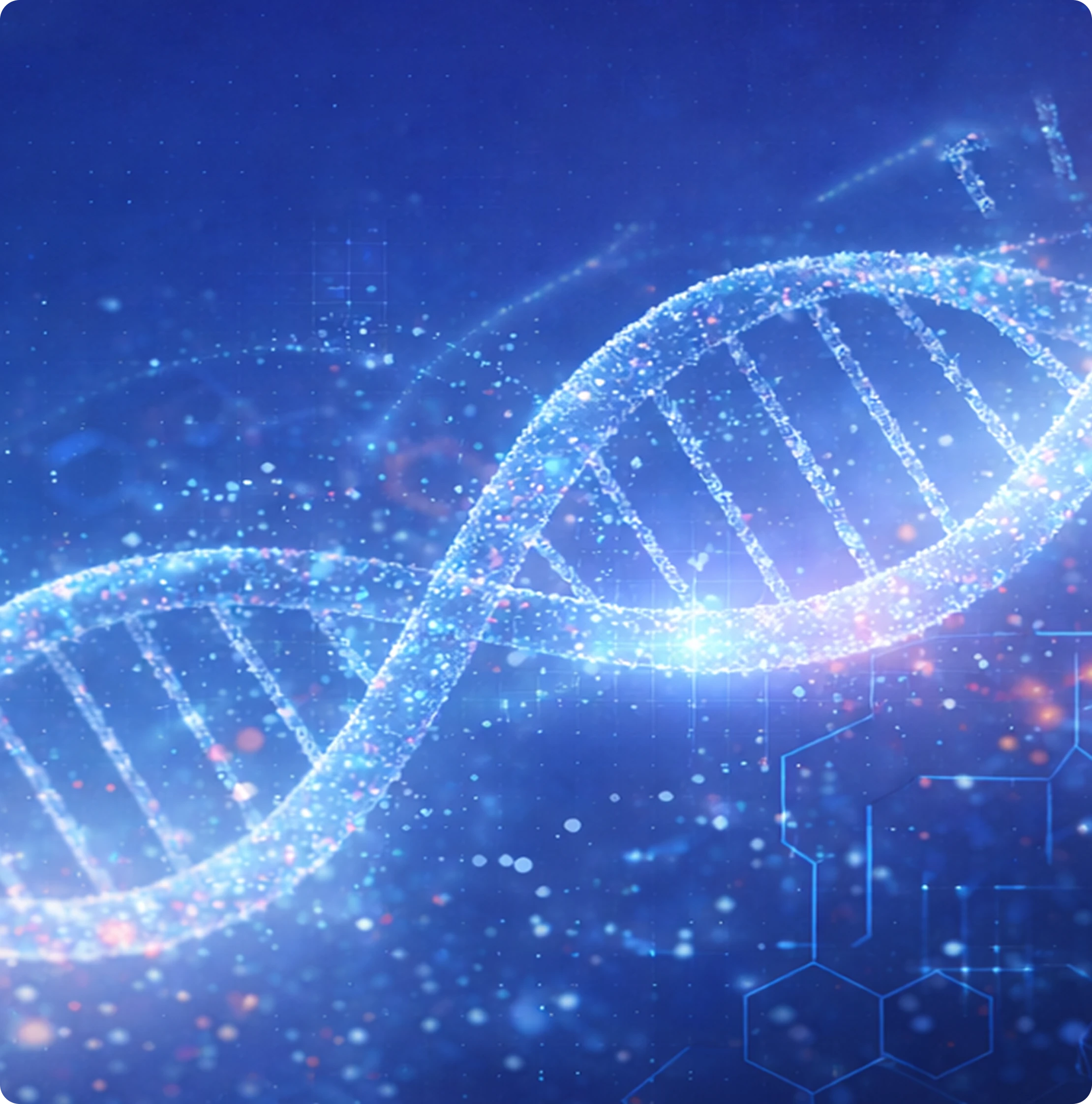 Neo<span style="color:#E21F26">Tech</span>